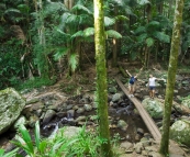 Gina and Lisa near Brushbox Falls in Border Ranges National Park