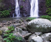 Brushbox Falls in Border Ranges National Park