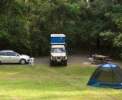 Our campground in Border Ranges National Park