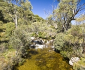 The Thredbo River