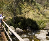 Hiking along the Thredbo River to Dead Horse Gap