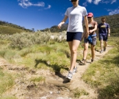 Abi, Lisa and Will on the Dead Horse Gap hiking trail