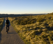 Lisa walking from Eagles Nest to Mount Kosciuszko