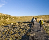 The trail through the high mountain plains