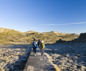 A frosty boardwalk on the way to Mount Kosciuszko