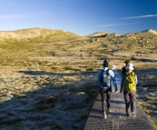 A frosty boardwalk on the way to Mount Kosciuszko