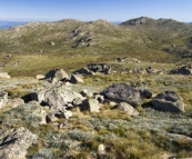 Looking north from Mount Kosciuszko