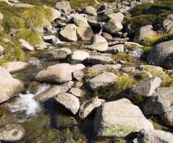 High mountain stream