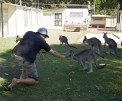 Local wildlife at Lake Conjola