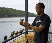 Sam with some friendly Rainbow Lorikeets at Lake Conjola