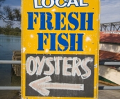 Fresh seafood from the harbour at Narooma