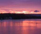 Electric sunset at Lake Conjola