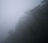 Our view of the escarpment at Fitzroy Falls