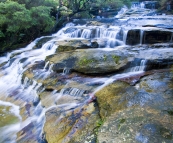 Leura Cascades