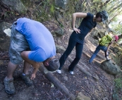 Checking for leeches in Leura Forest