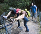Checking for leeches in Leura Forest