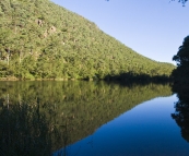 Our swimming spot in the Nepean River near the Euroka campground