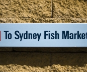 Sydney Fish Market