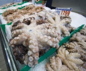 Fresh octopus at the Sydney Fish Market