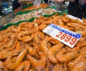 The Sydney Fish Market