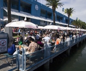 Dining on the water's edge at the Sydney Fish Market