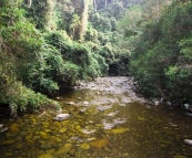 The Gloucester River