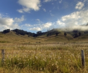 Picturesque farmland on the drive out of Barrington Tops National Park