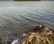 Wallis Lake from the Booti Hill Walking Track