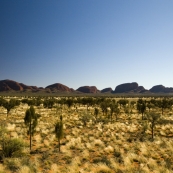 Kata Tjuta