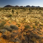 Kata Tjuta