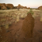 A termite mound at the Devil\'s Marbles before sunrise
