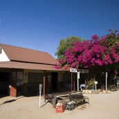 The Daly Waters pub