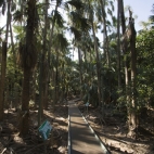 The walkway to Mataranka Springs