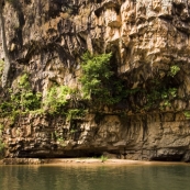 Ferns growing from the rock walls in Katherine Gorge's second gorge