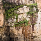 Ferns growing from the rock walls in Katherine Gorge's second gorge