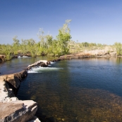 Sam diving into Sweetwater Pool