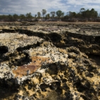 Tide pools at Mandorah