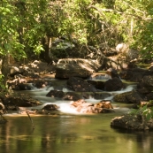 Florence Creek below Florence Falls