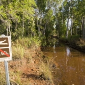 The ominous creek crossing on the road into Tjaynera Falls