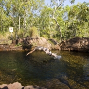 Sam about to dive into one of the pools at Buley Rockhole