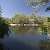 Fishing at Djarradjin Billabong next to Muirella Park campsite