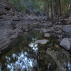 The monsoon forest at Gubara Pools