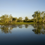 Yellow Waters