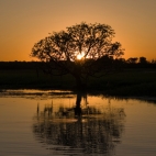 Sunset at Yellow Waters