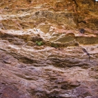 Looking up at the escarpment on Joe's Creek Walk in Gregory National Park