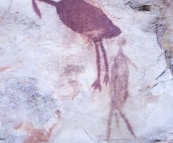 The Aboriginal art along the cliffs of Joe's Creek Walk in Gregory National Park