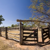 Lisa in the Bullita Homestead cattle yards