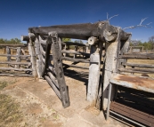 The Bullita Homestead cattle yards