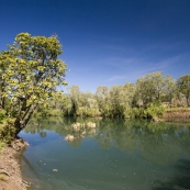 The East Baines River in front of the Bullita Homestead