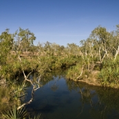 Spring Creek swimming hole